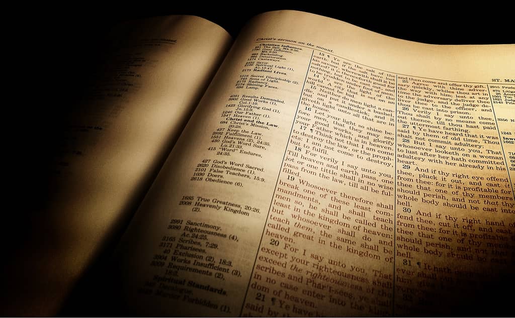 18227 Light of Scripture