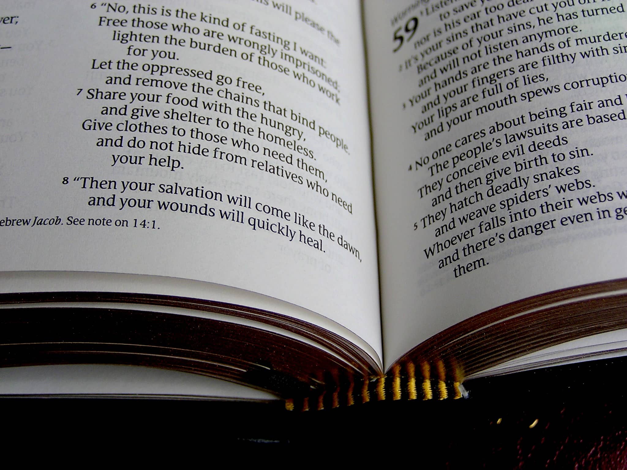 1771 open bible