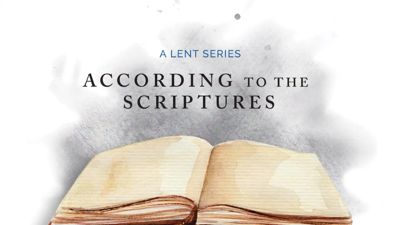 According to the Scriptures Intro