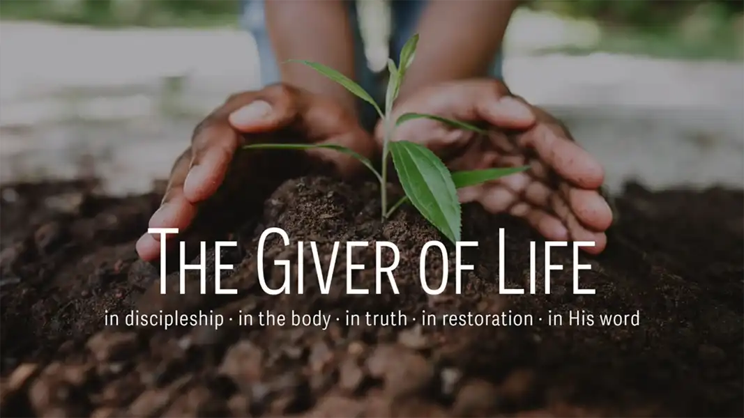 The Giver of Life
