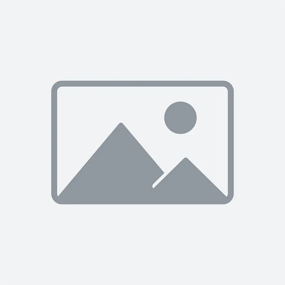 placeholder web