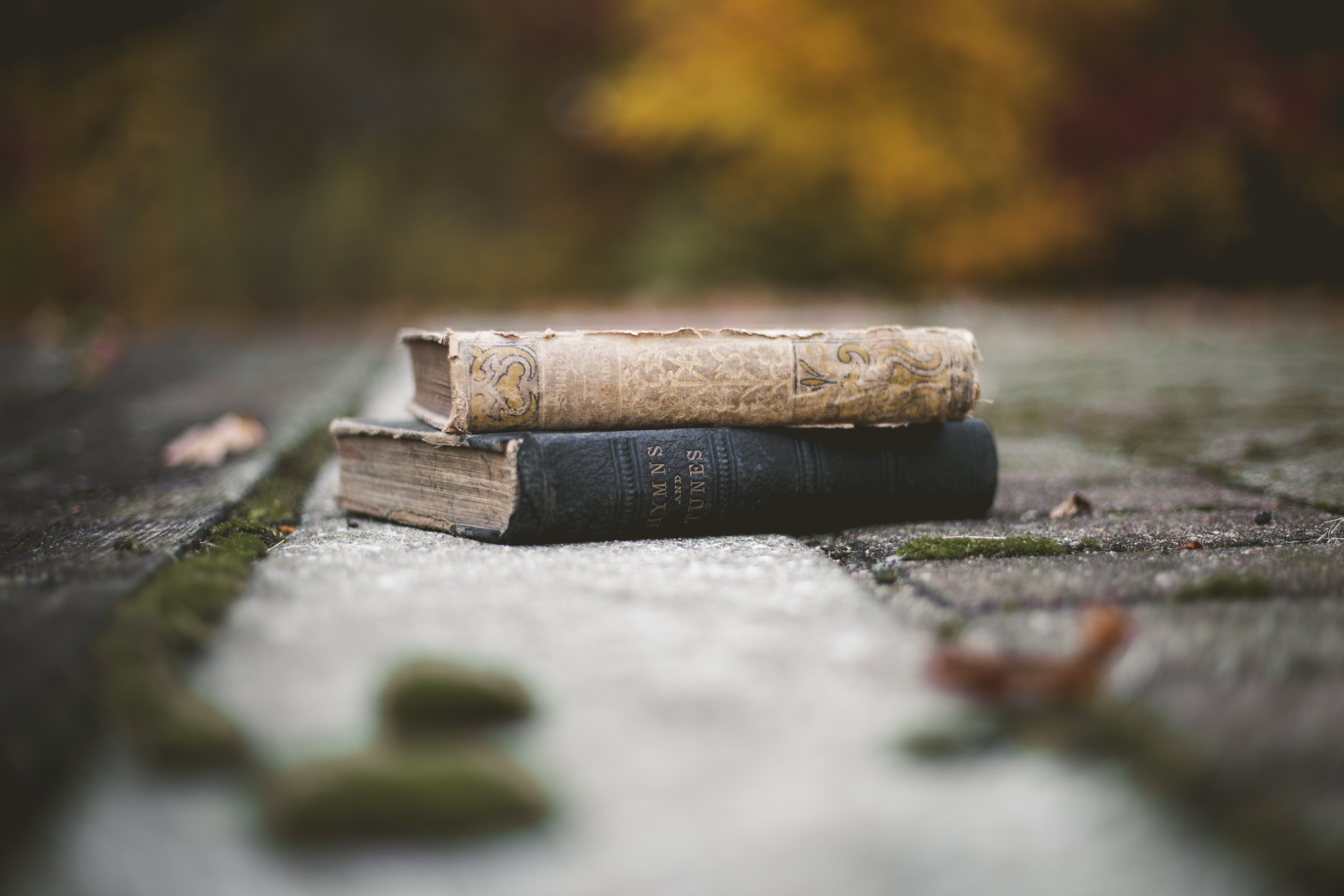 taylor ann wright qcJFNNh7AZg unsplash