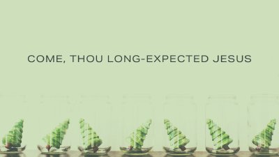 Come Thou Long Expected Jesus