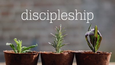 Discipleship