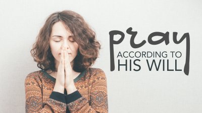 Pray according to His will