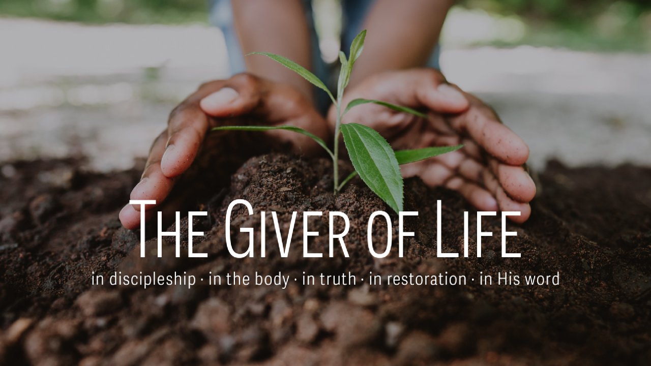 The Giver of Life